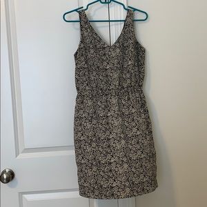 Ann Taylor Loft Dress